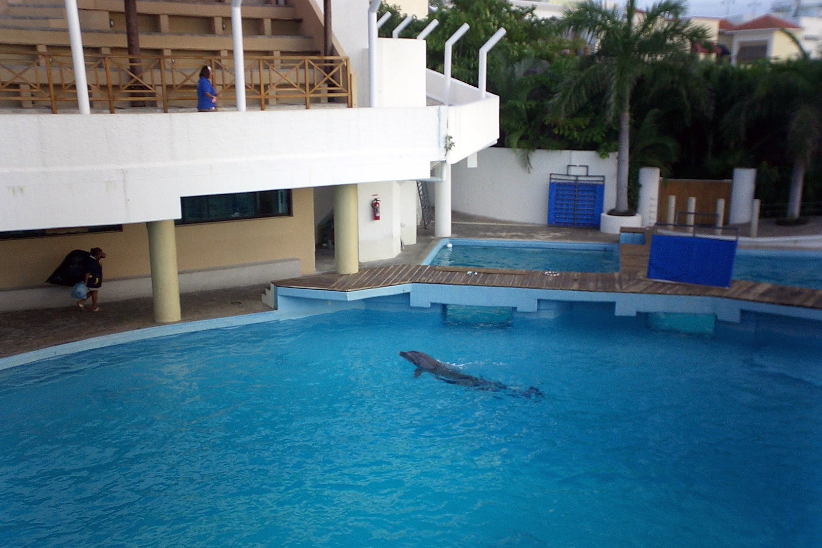 Interactive Aquarium Of Cancun Explore A Waterfront Aquarium With