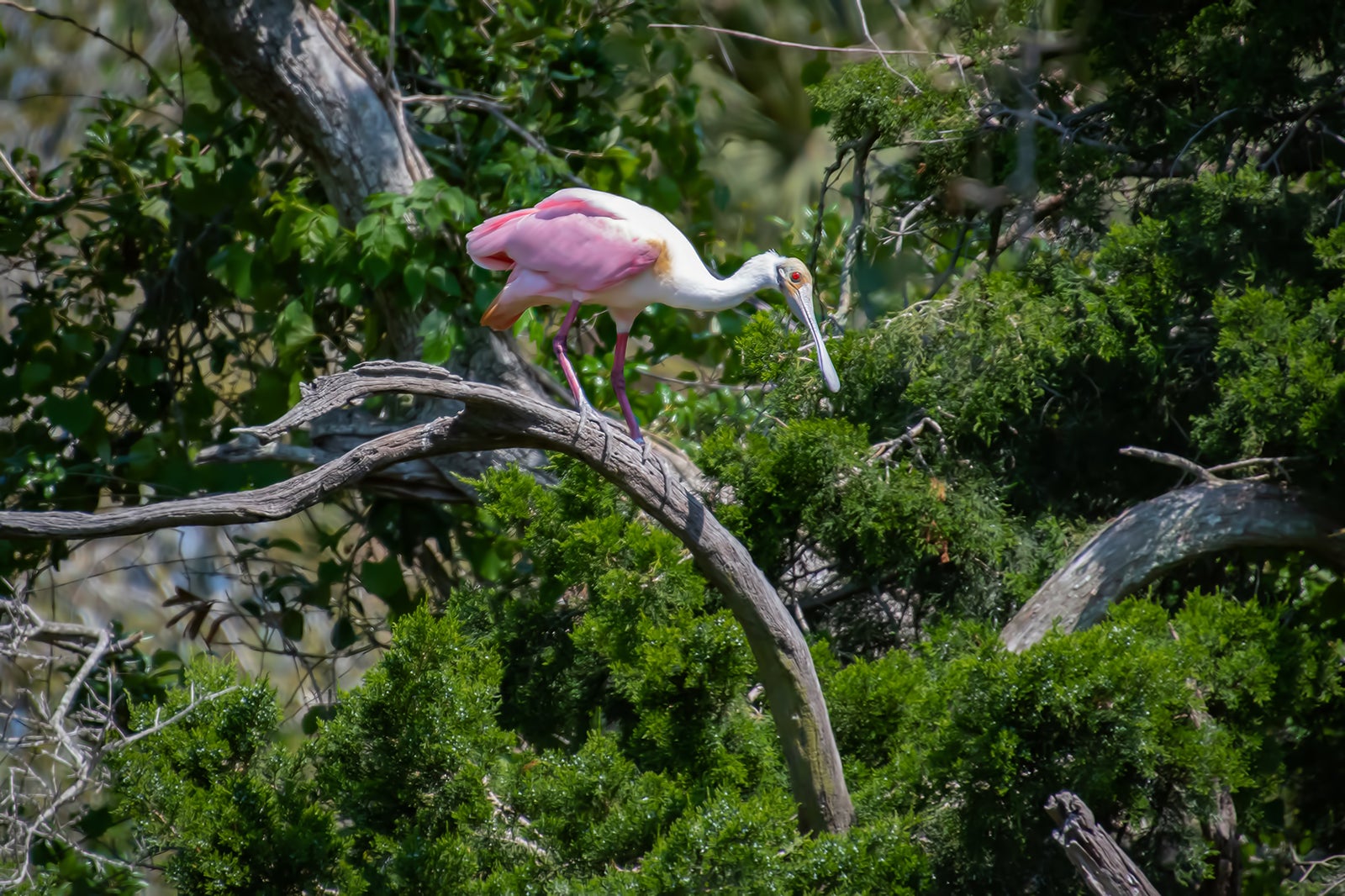 8 Places Off The Beaten Track In St Augustine Fun And Different