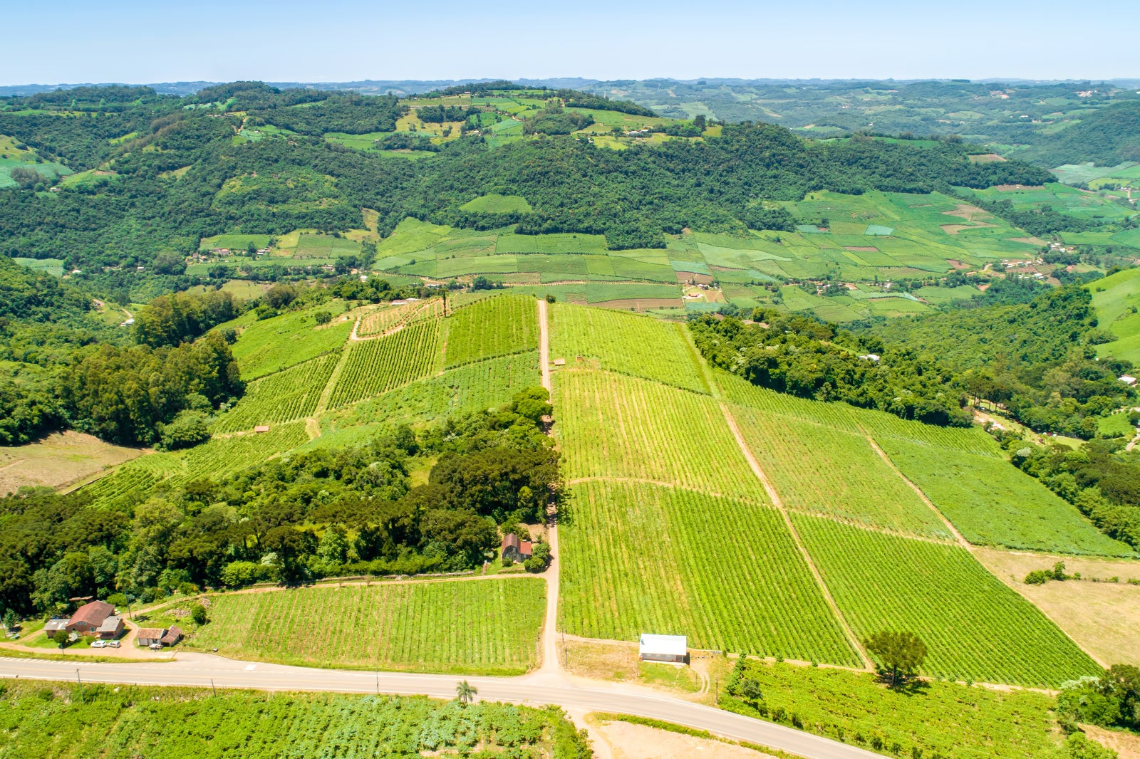 Melhores Vin Colas Em Bento Gon Alves Prove Os Melhores Vinhos Em