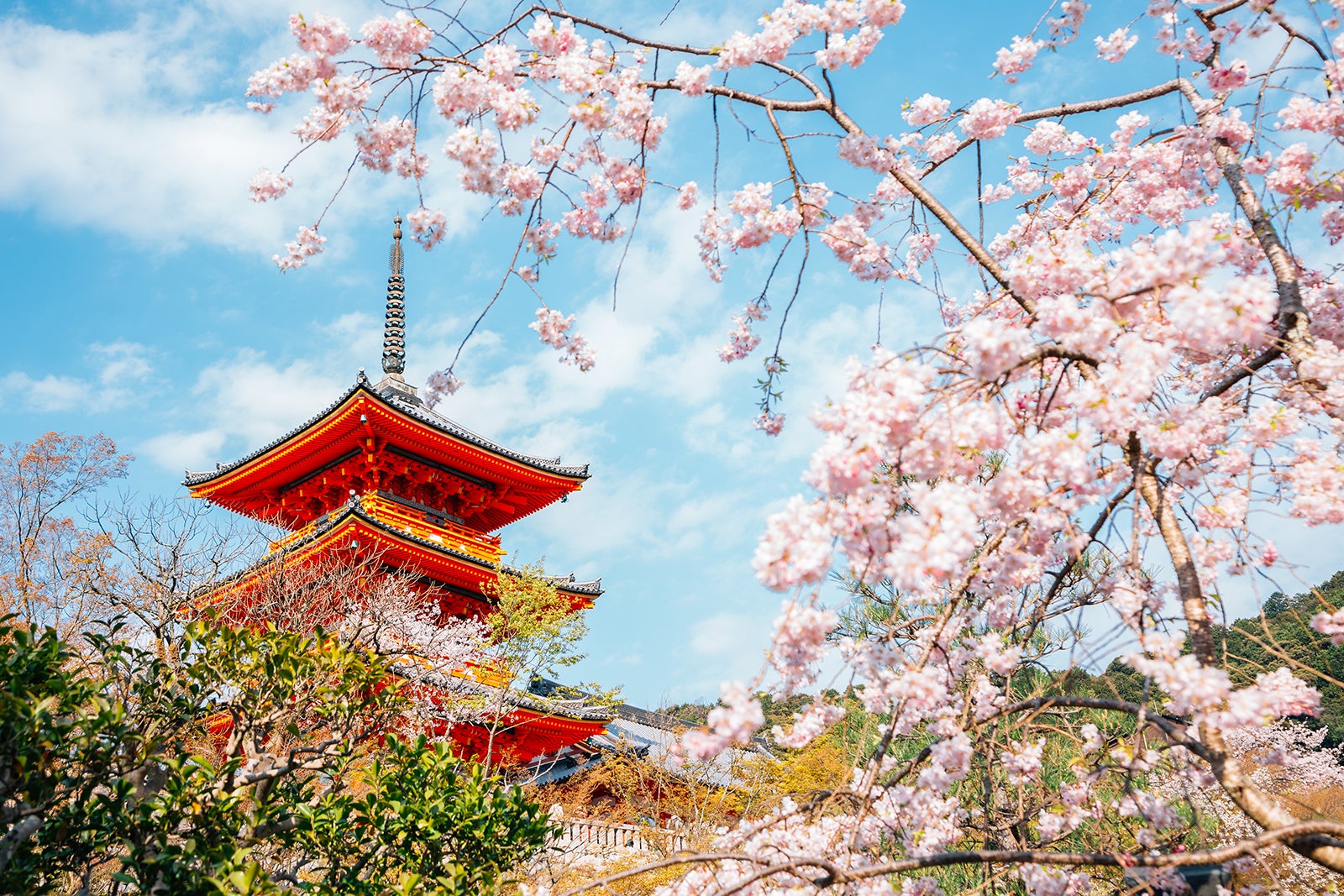 京都の清水寺 清水の舞台から美しい京都の街を一望 Go Guides