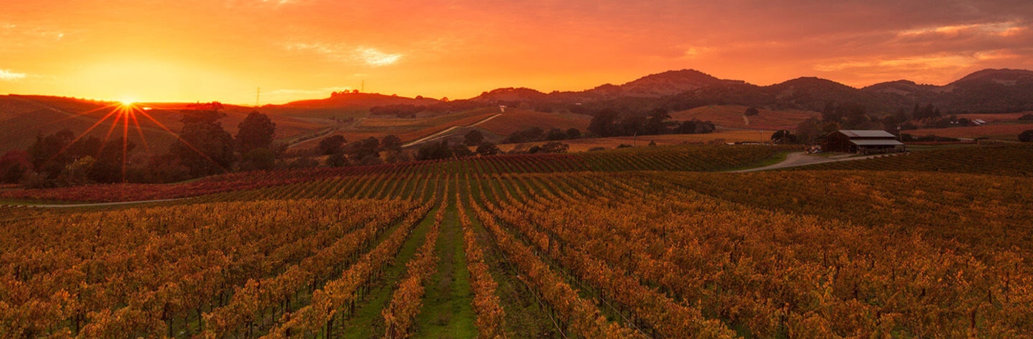 Napa, California, United States of America