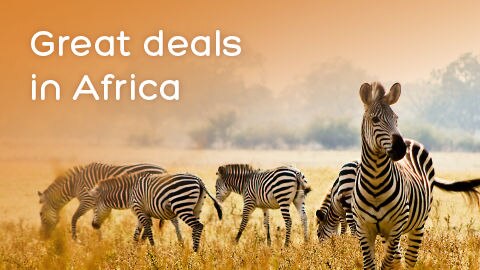 Hotels.com | Hotels, Cheap and Last Minute Accommodation