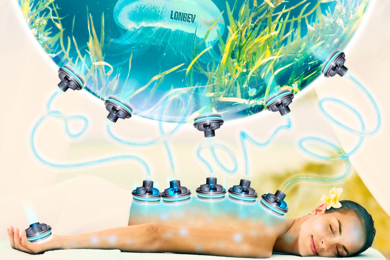 Longevity hotel spas Longevity hotel spas