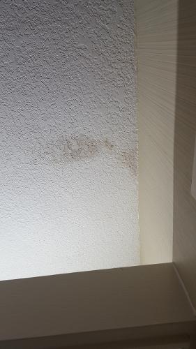 Book Wyndham Garden San Diego Near SeaWorld, San Diego, California