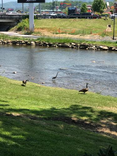 the staff was friendly, and they did an incredible job.