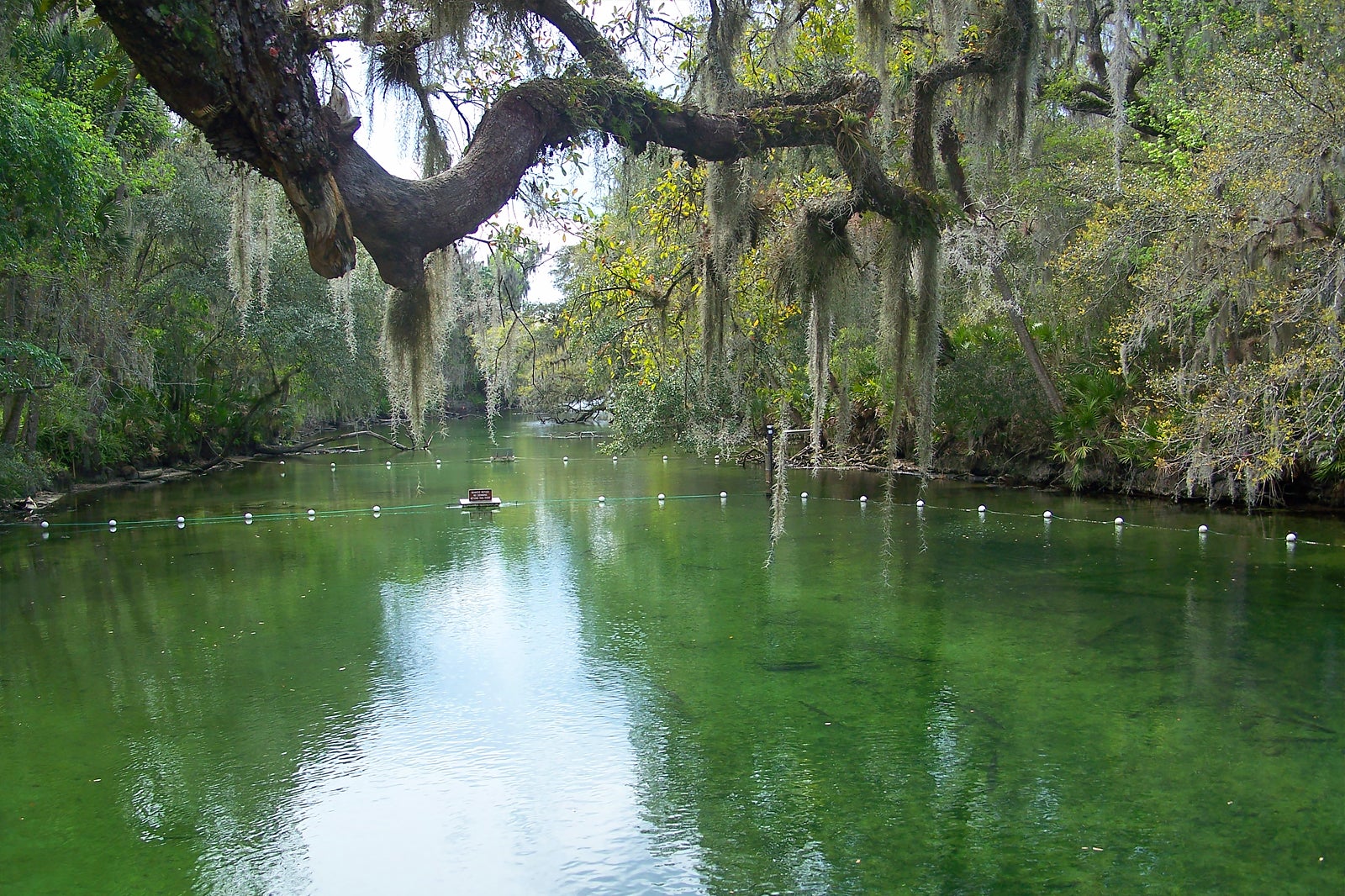 Blue Spring State Park