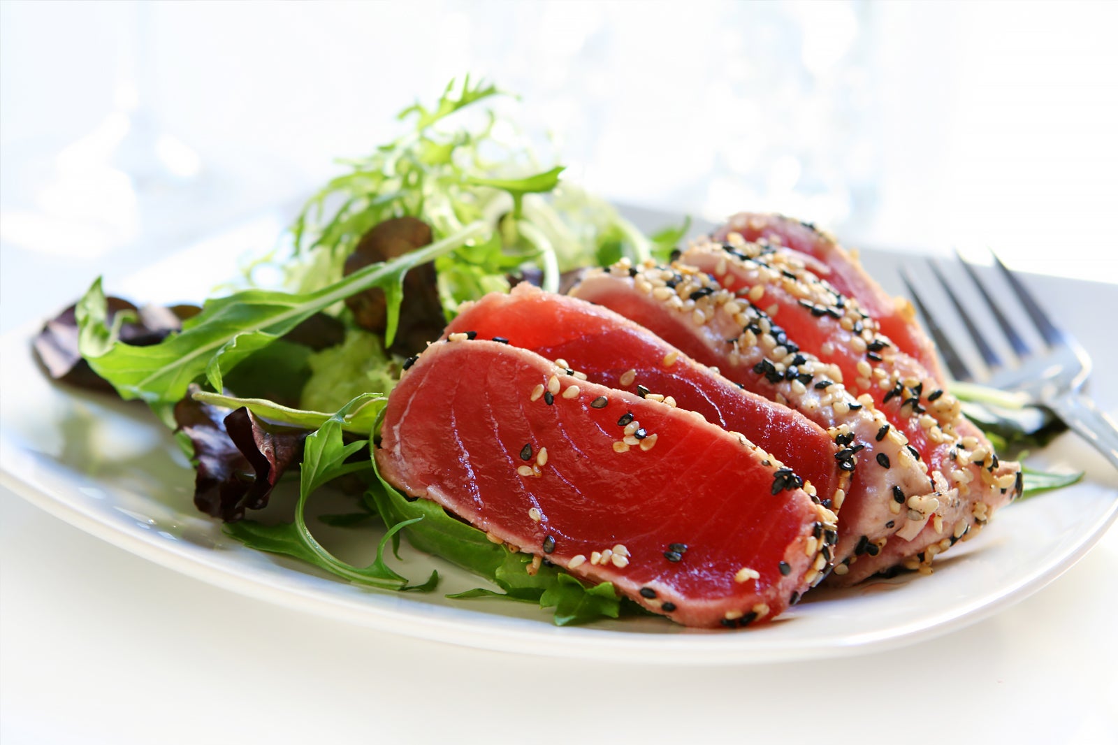 10 Great Restaurants in Genoa Where to Eat in Genoa and What to Try? Go Guides