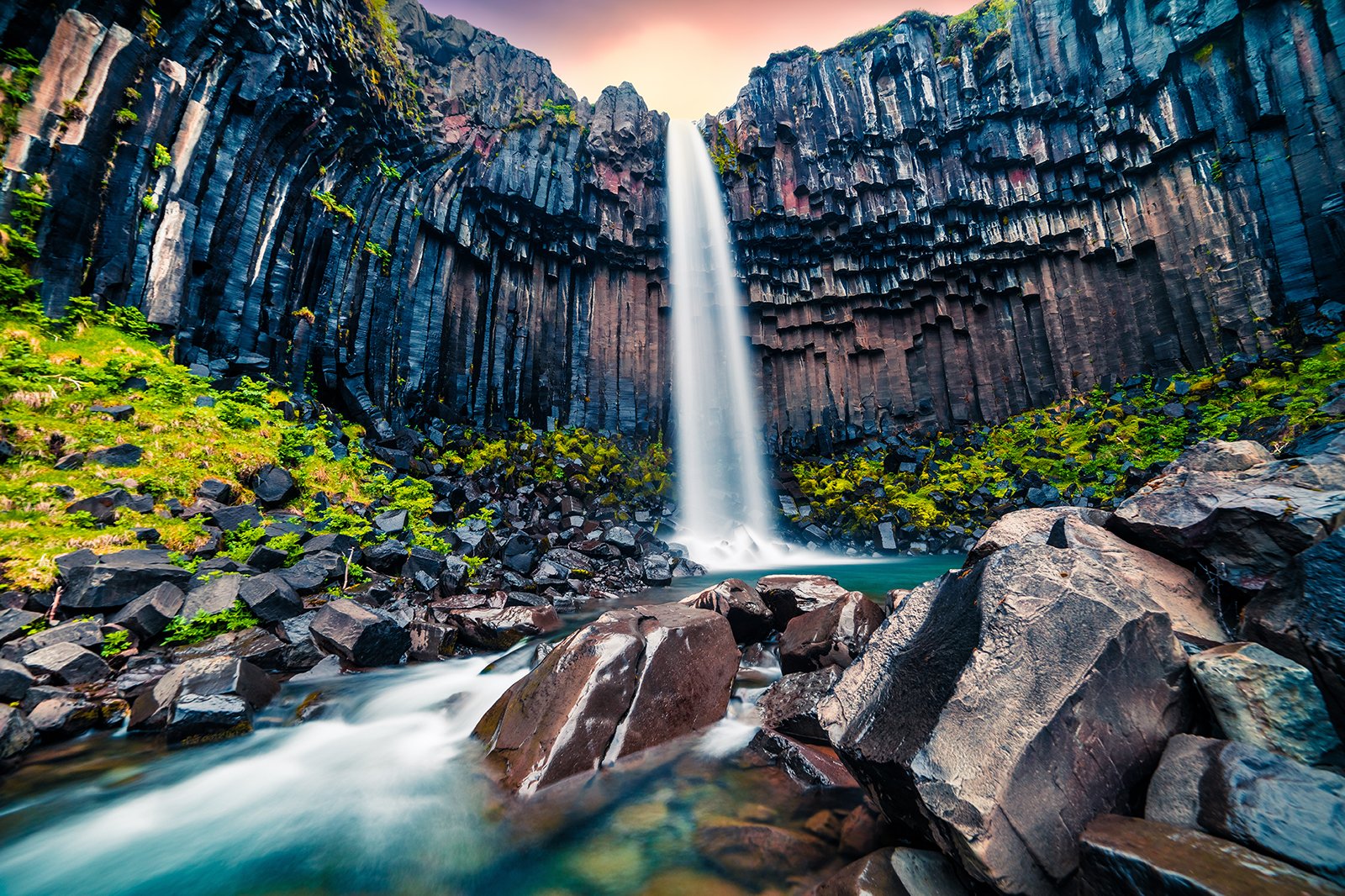 JAUNE D'ISLANDE