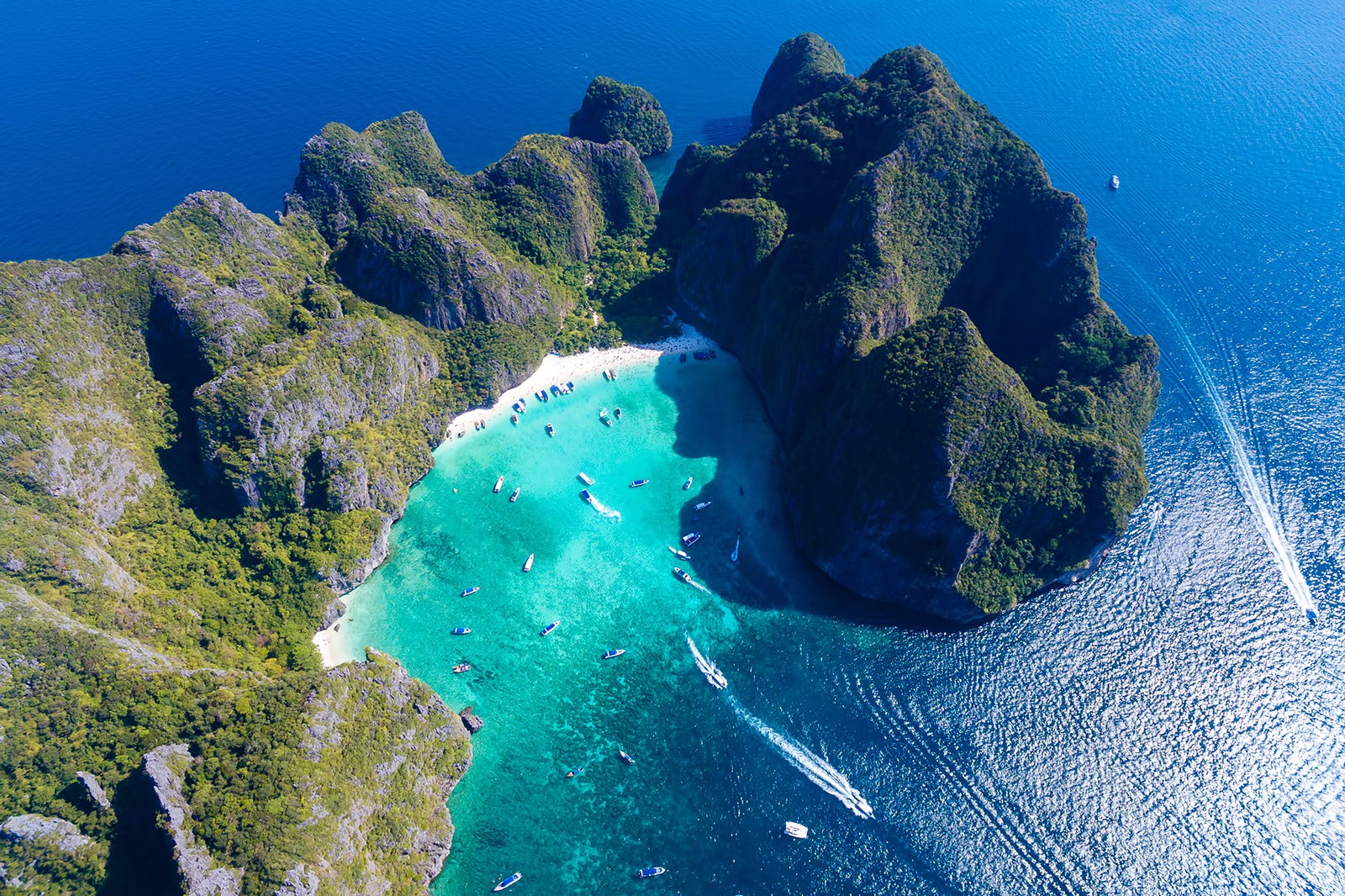 maya bay tour from phi phi