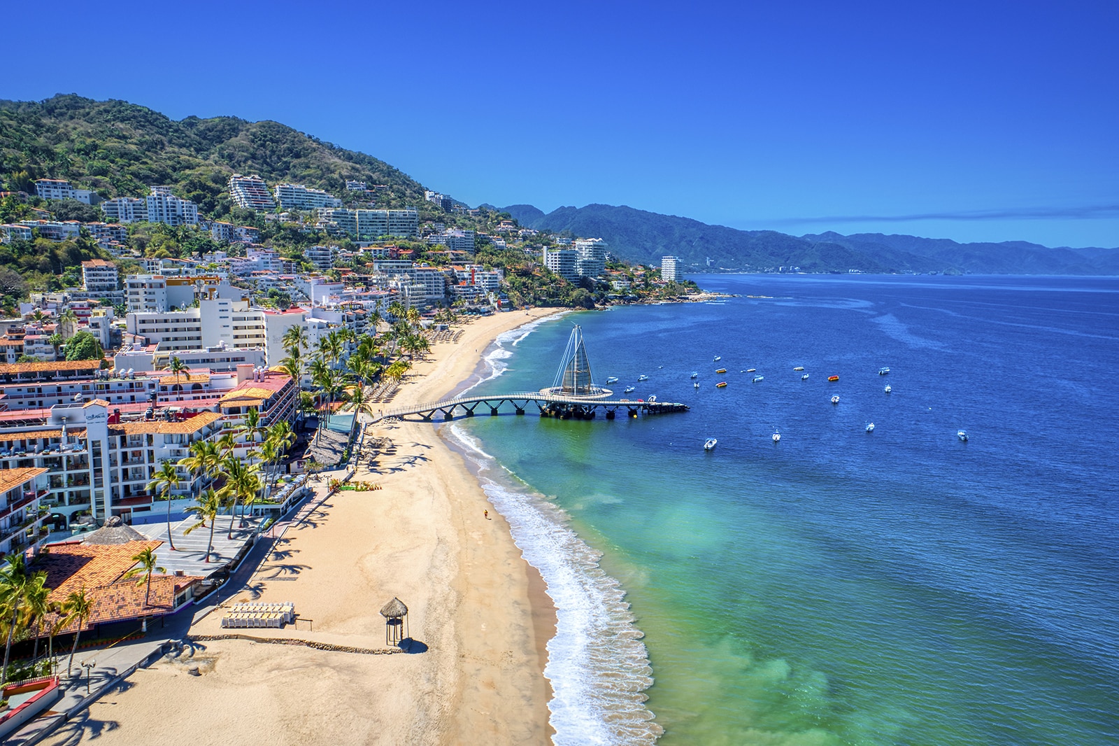  Ultimate Guide: Travel to Catalina Island from San Diego for an Unforgettable Getaway