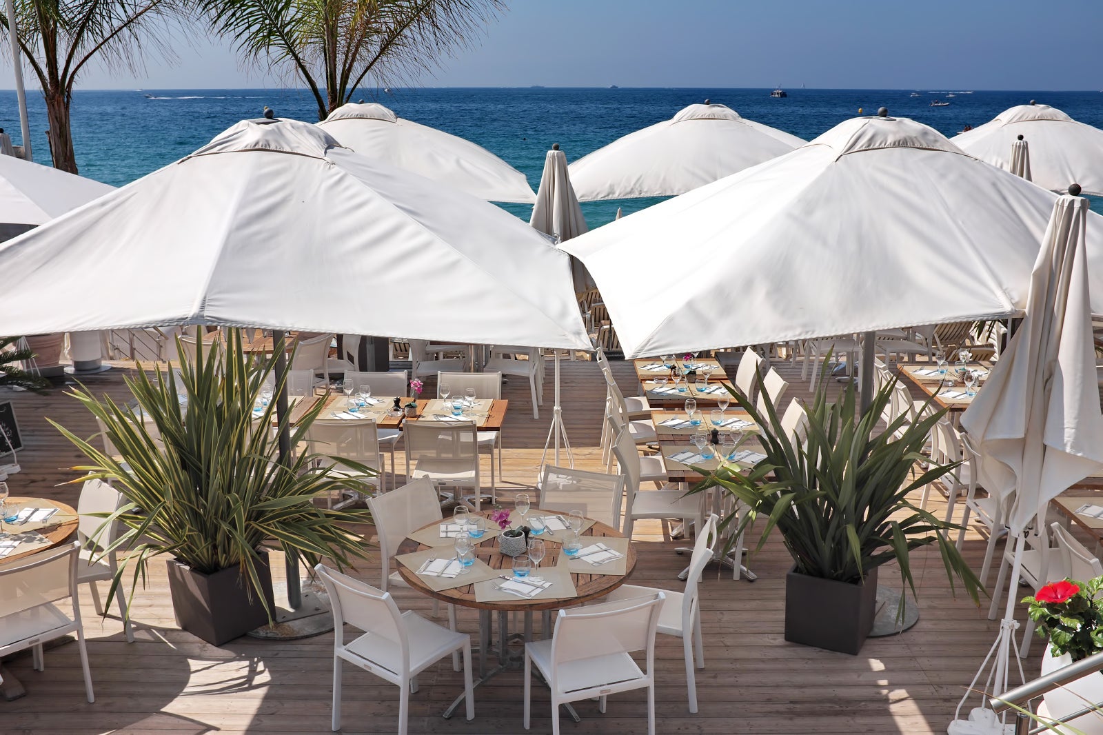 10 Best Beach Clubs In Cannes Where To Go In Cannes At Night Go Guides