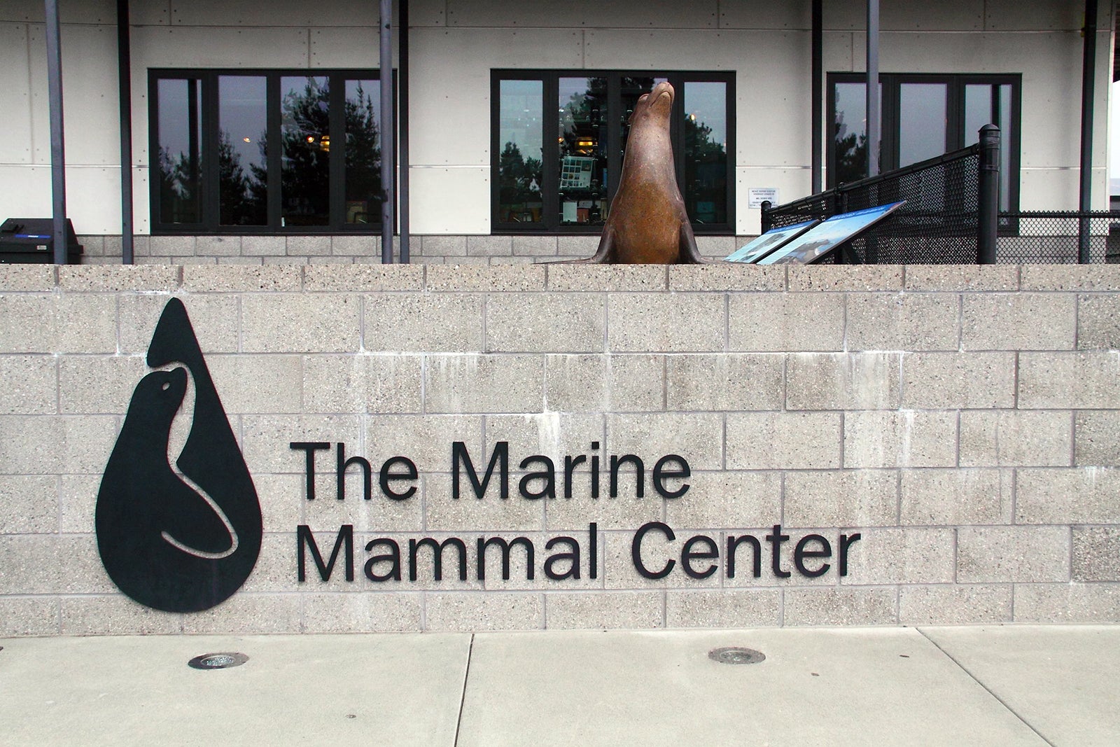 PIER 39  The Marine Mammal Center