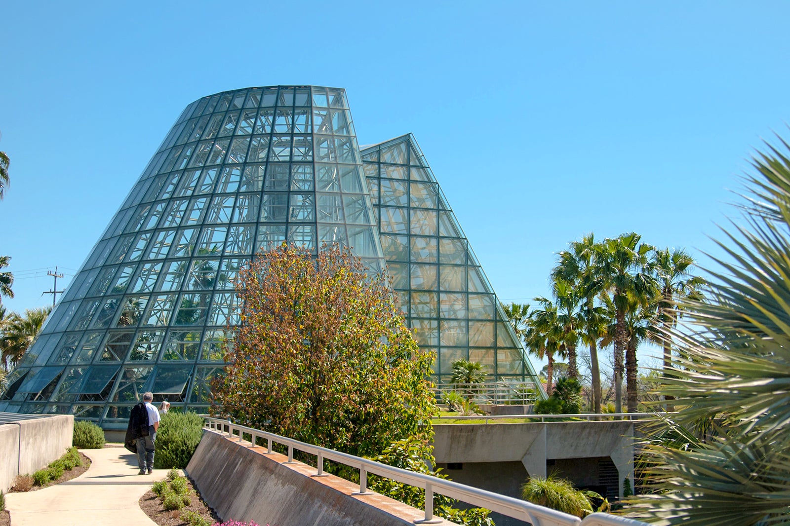 Alamo Heights One of San Antonio’s Trendiest Neighbourhoods Go Guides