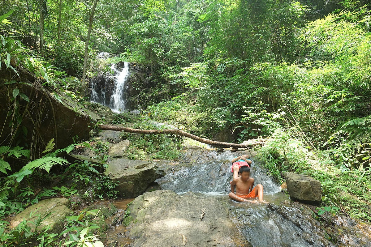 Tonsai Waterfall in Phuket - Waterfall in Phra National Park – Go Guides