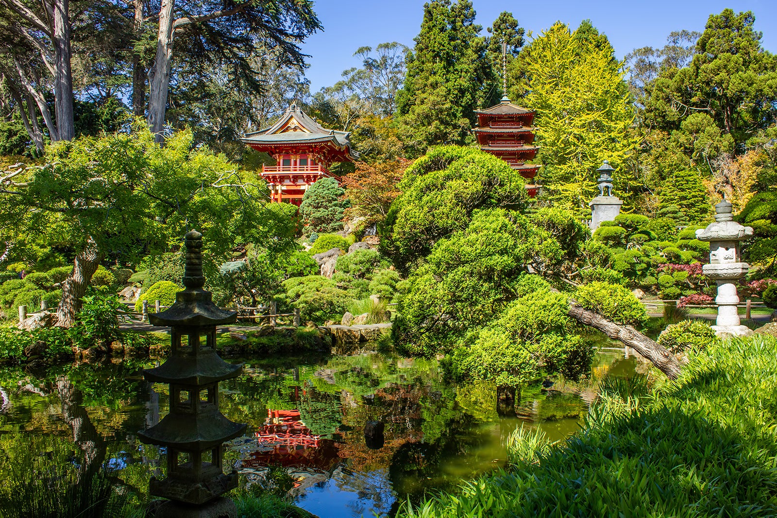 Are Dogs Allowed At The Japanese Tea Garden