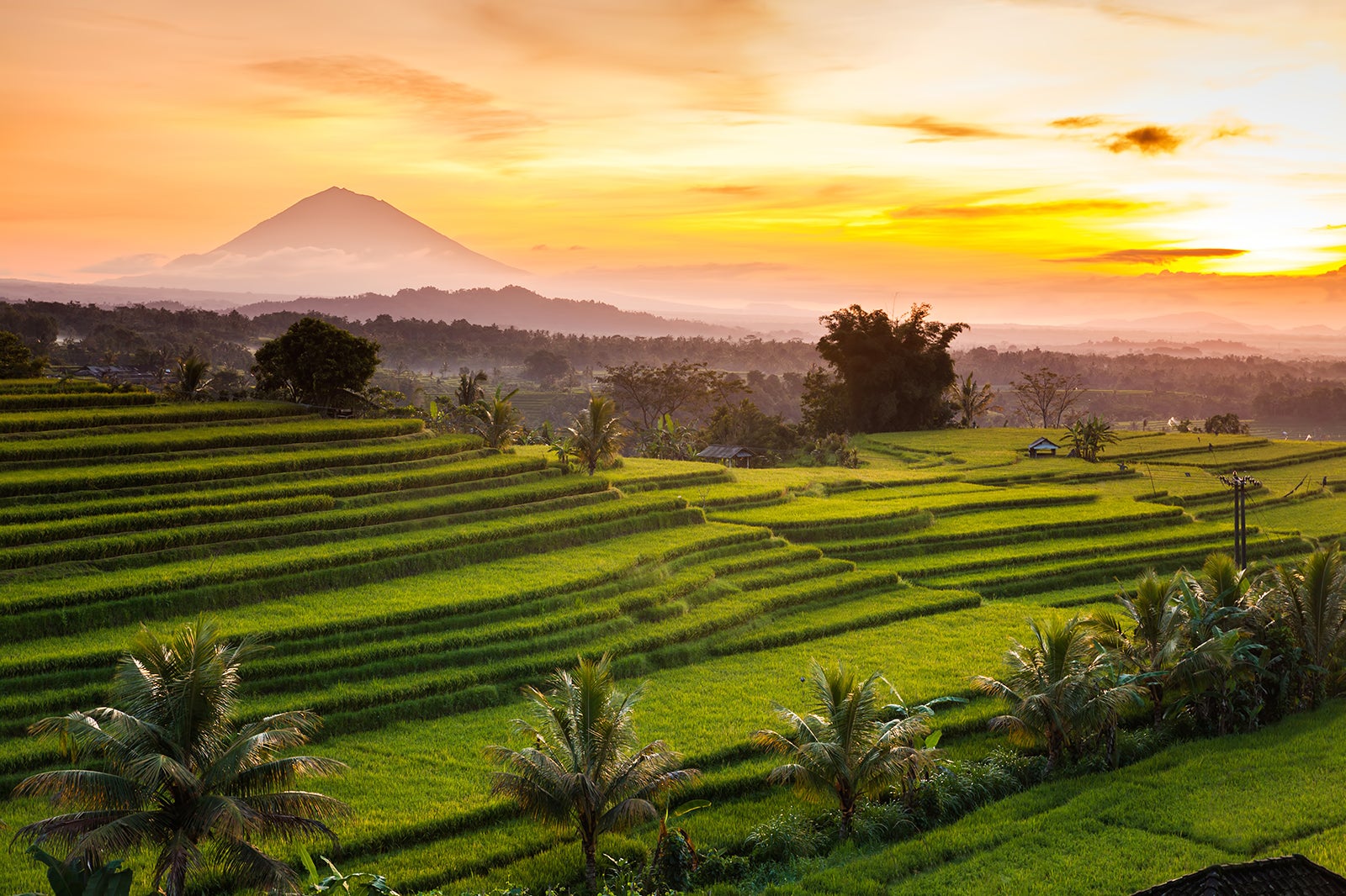 Jatiluwih Rice Terraces in Bali - Cultural Landscape Heritage Site in  Tabanan – Go Guides