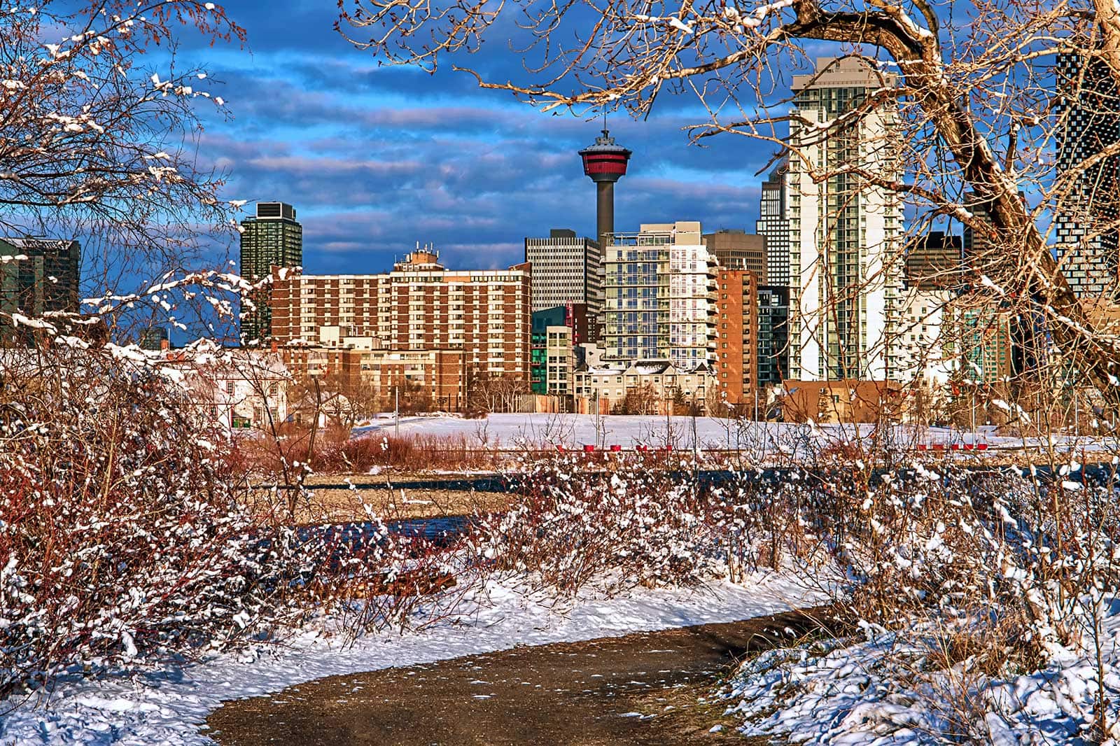 Calgary In December 10 Best Things to Do in Calgary in Winter - Make the Most of Your ...