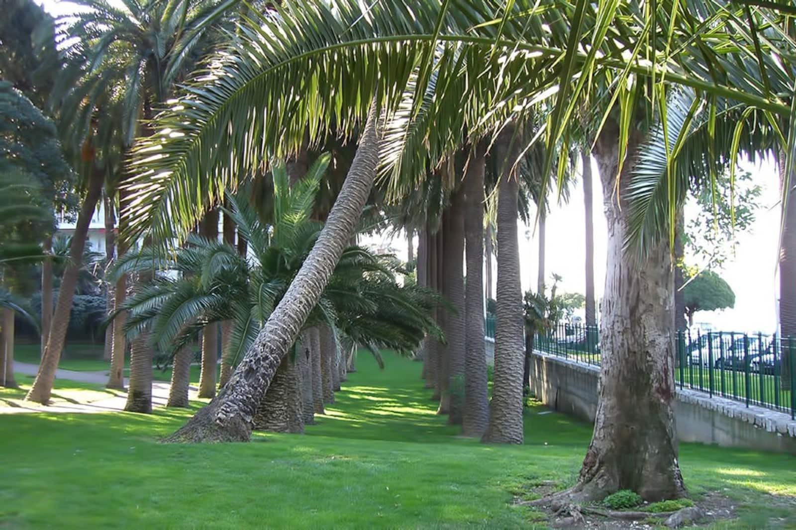 10 Best Parks in Nice - Explore Nice's Most Beautiful Outdoor Spaces ...