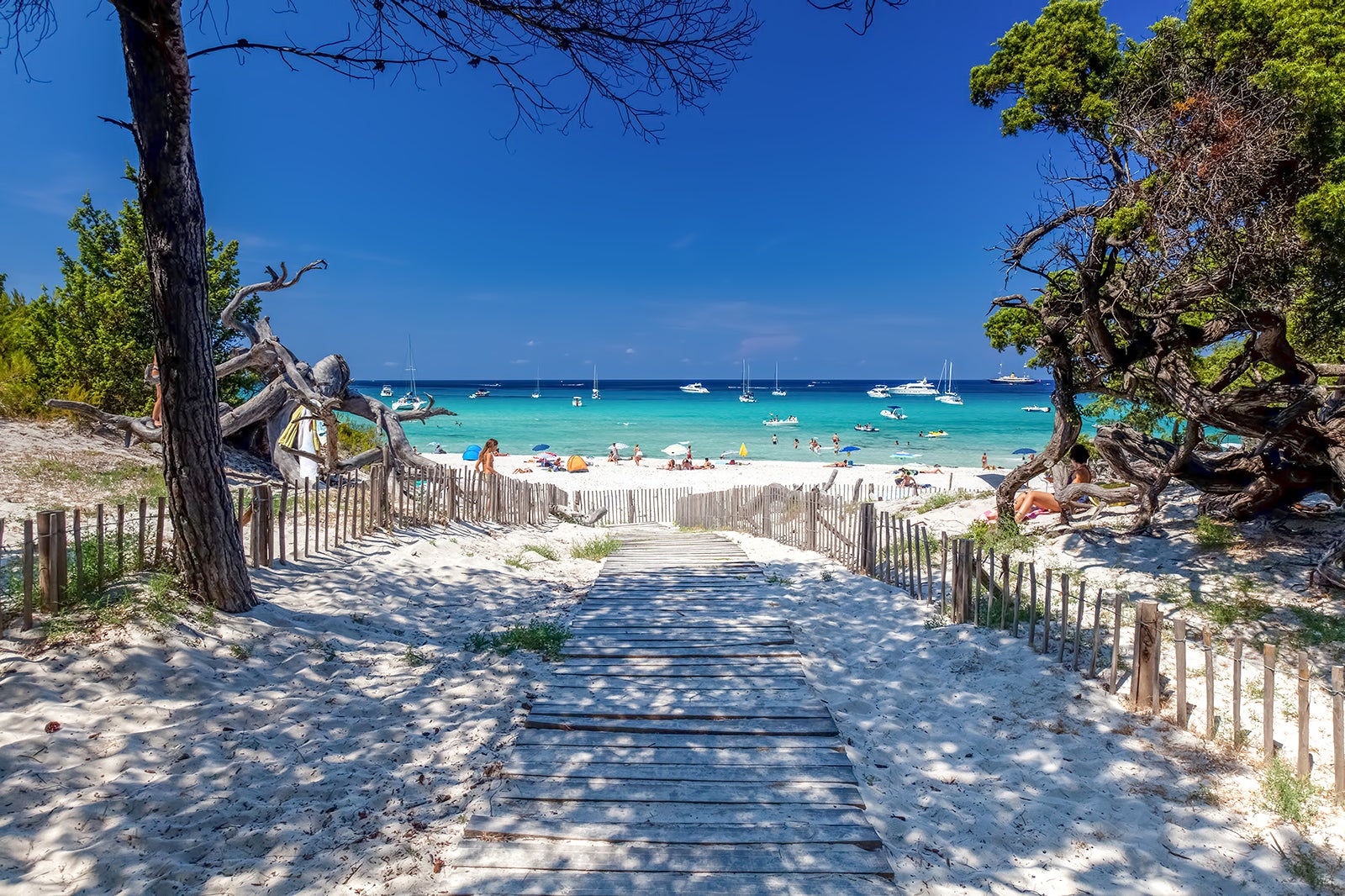 plage-de-saleccia-in-corsica-uncover-coastal-beauty-go-guides