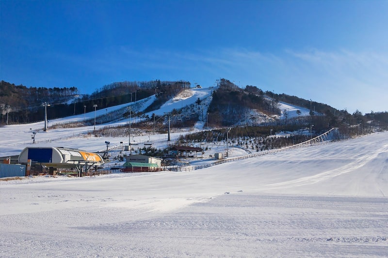 평창숙소 위드랜드 애견동반 호텔가성비 최고 평창숙소 위드랜드 애견동반 호텔가성비 최고
