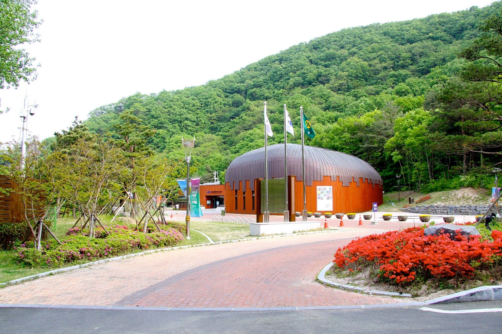9 Best Things to Do in Ulsan What is Ulsan Most Famous For? Go Guides