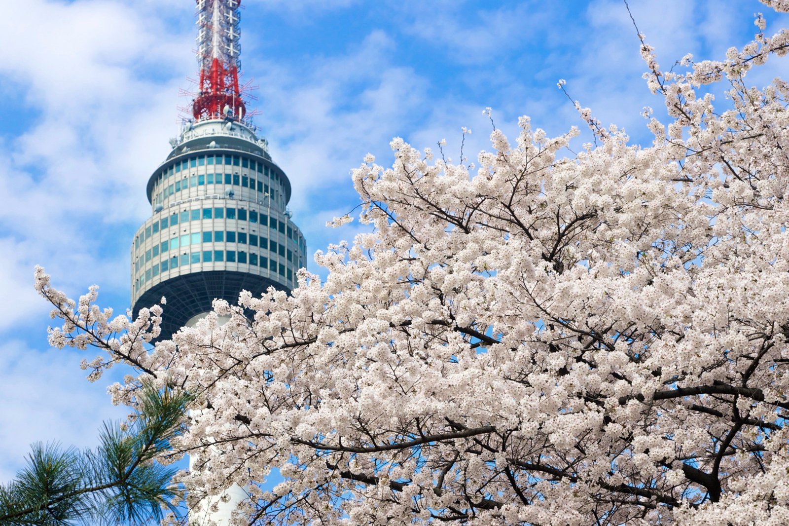 seoul tower visit korea