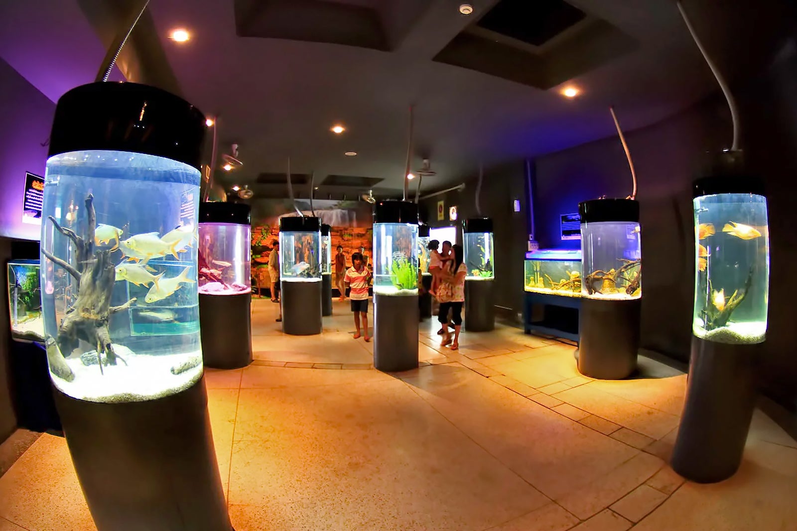 Aquaria phuket