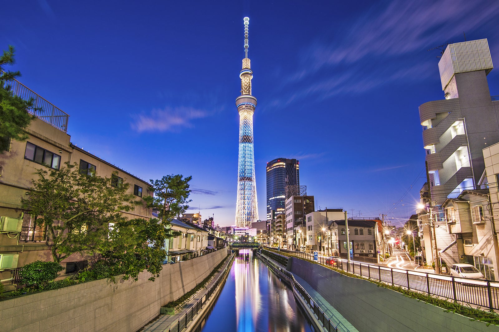 konstant Andet Bevis 10 Best Tours in Tokyo - Fun Tokyo Tours You Can Book Today – Go Guides