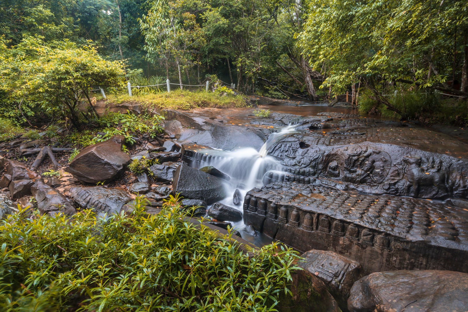 writing about environment in cambodia