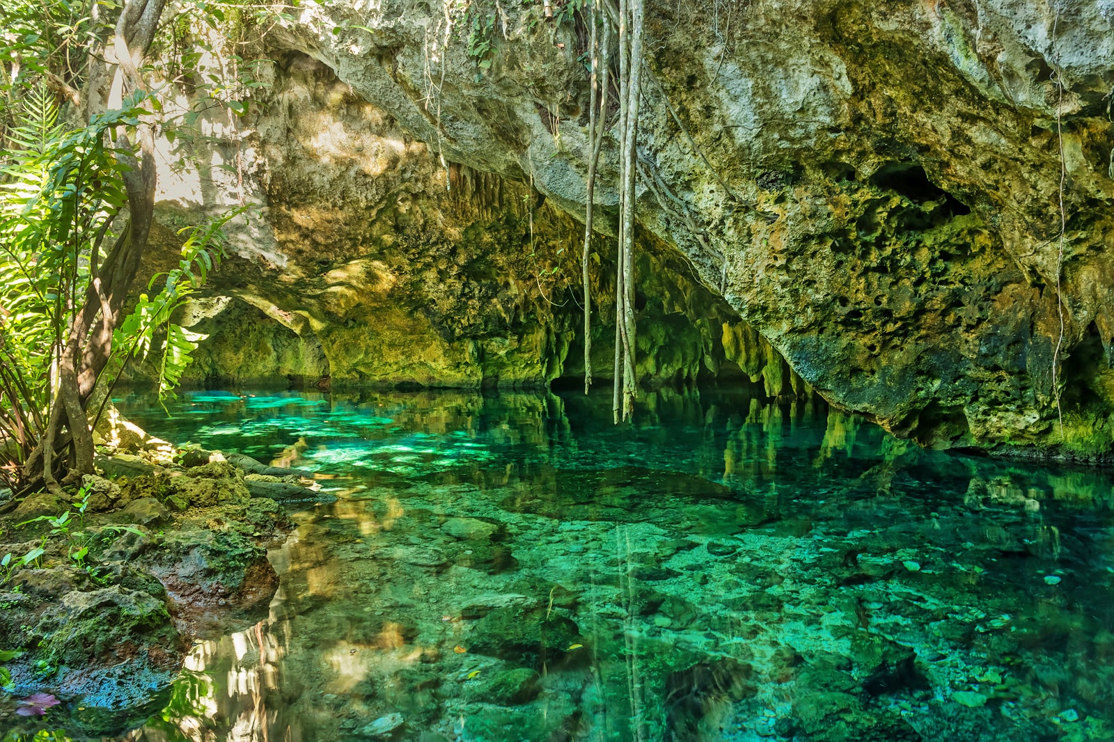 best way to see cenotes in tulum