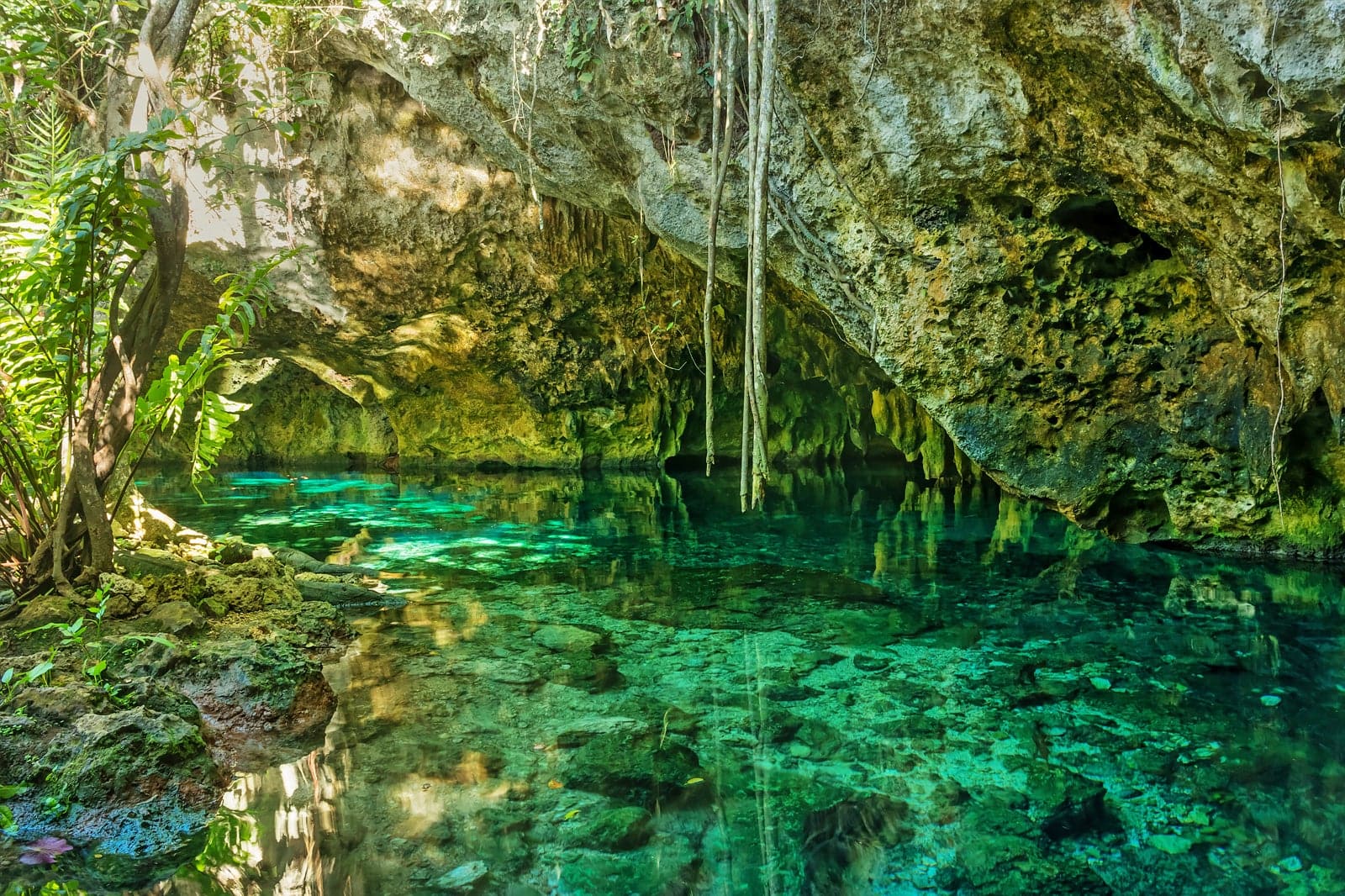 Cenotes Rulum Gran Cenote in Tulum - Swim in One of Mexico’s Beautiful Blue Cenotes ...