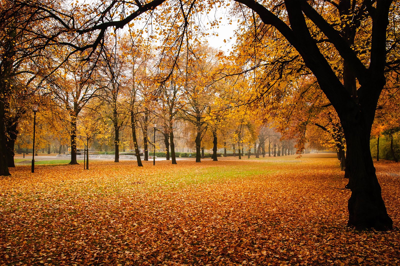 12 Best Autumn Holidays In Europe Where To Catch The Autumn Colours Go Guides 2404