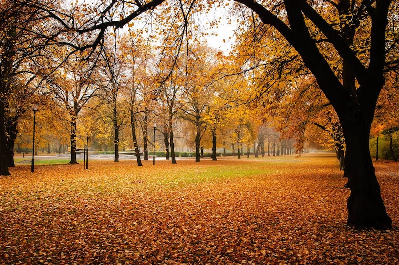 Fall Season In Europe 12 Best Autumn Holidays in Europe - Where to Catch the Autumn Colors ...