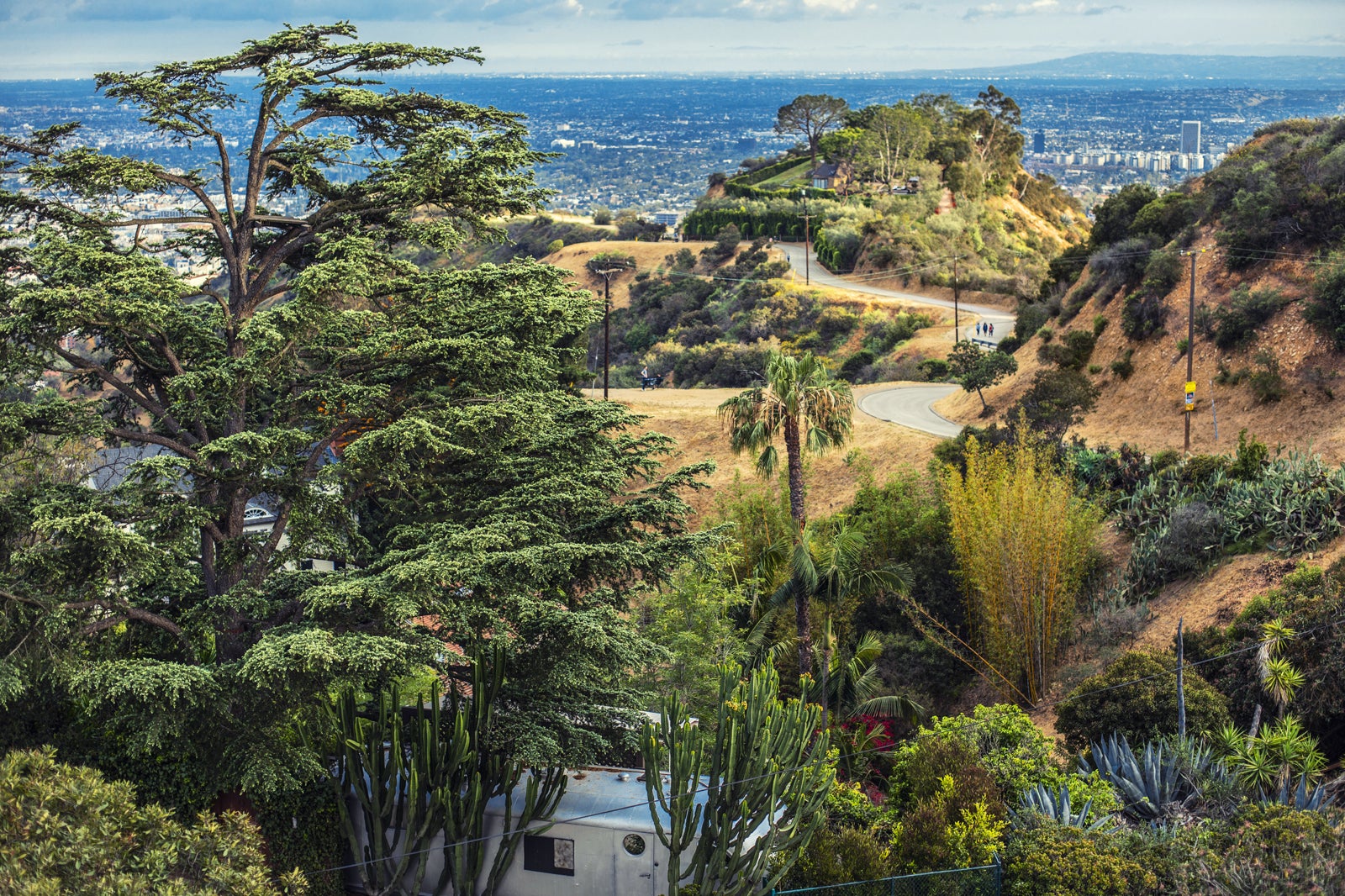 Runyon Canyon Park in Los Angeles - Explore the Beauty of Los Angeles ...