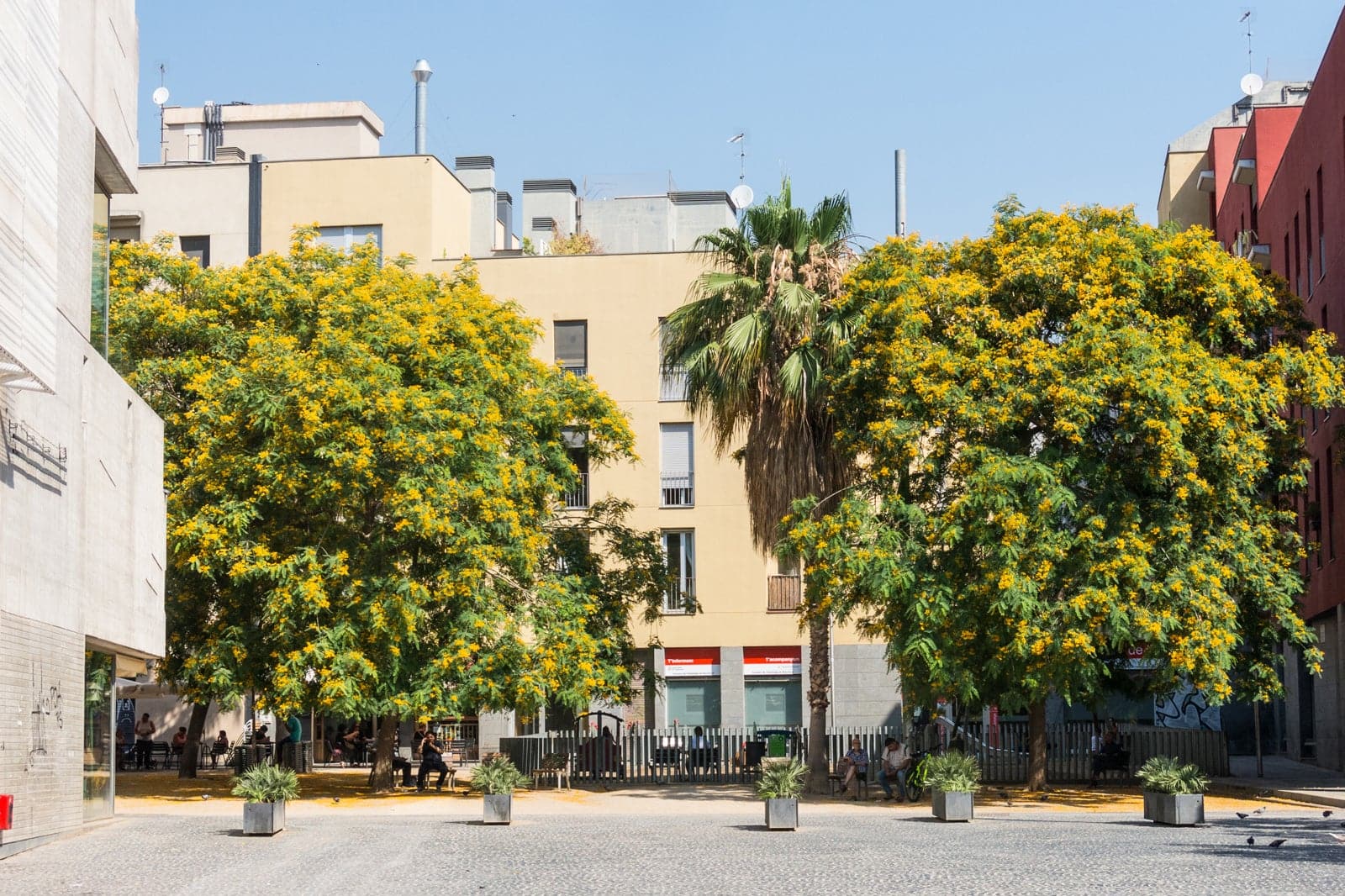 El Raval in Barcelona - Upbeat and Unconventional – Go Guides