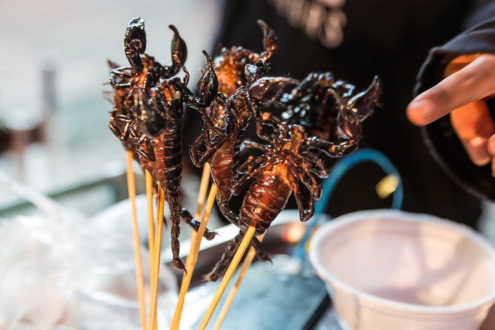 Eating Insects in Bangkok and Where to Find Them - Bangkok Unusual ...