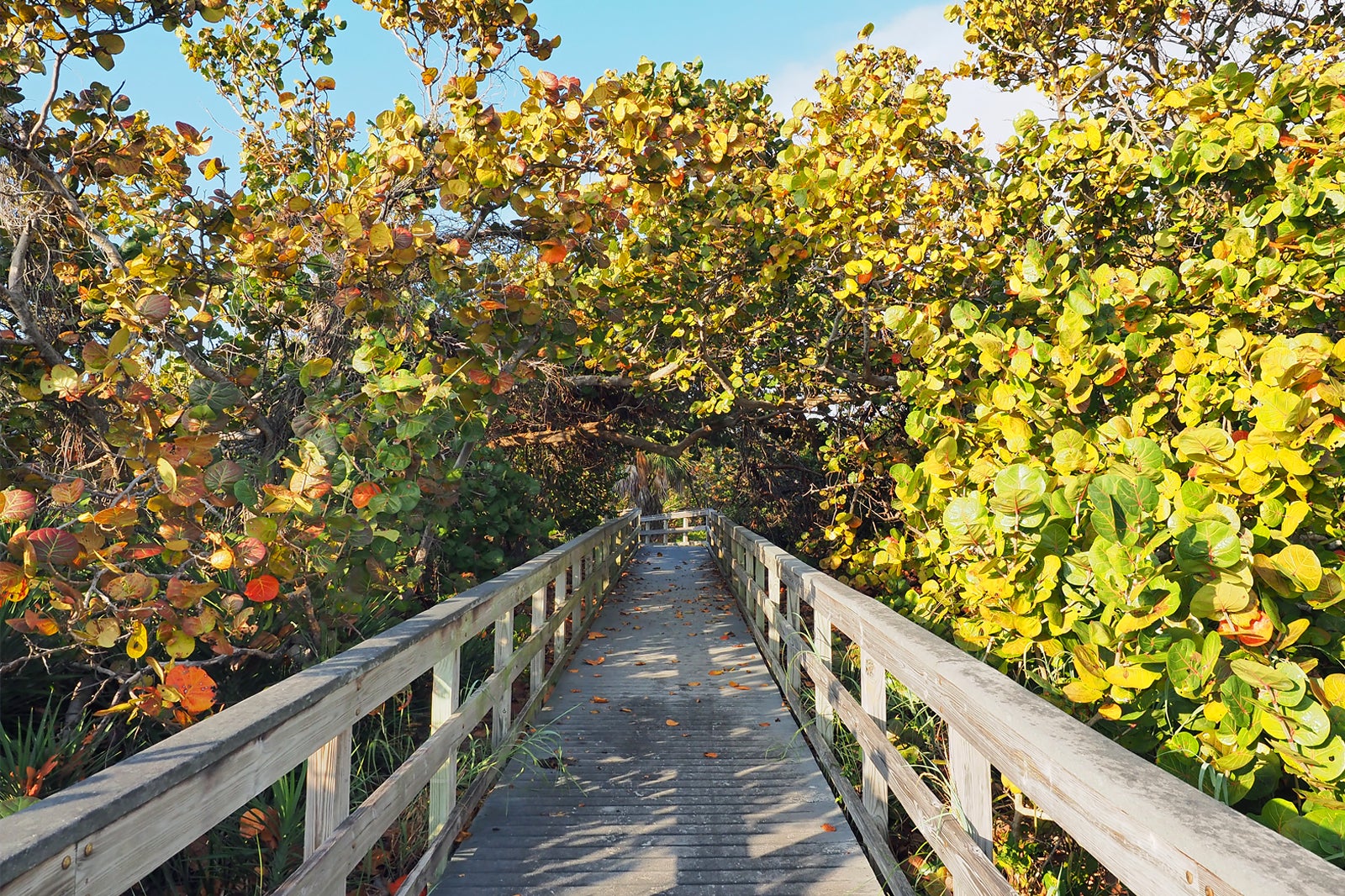 Bill Baggs Cape Florida State Park Visit the Southern Beaches of Key