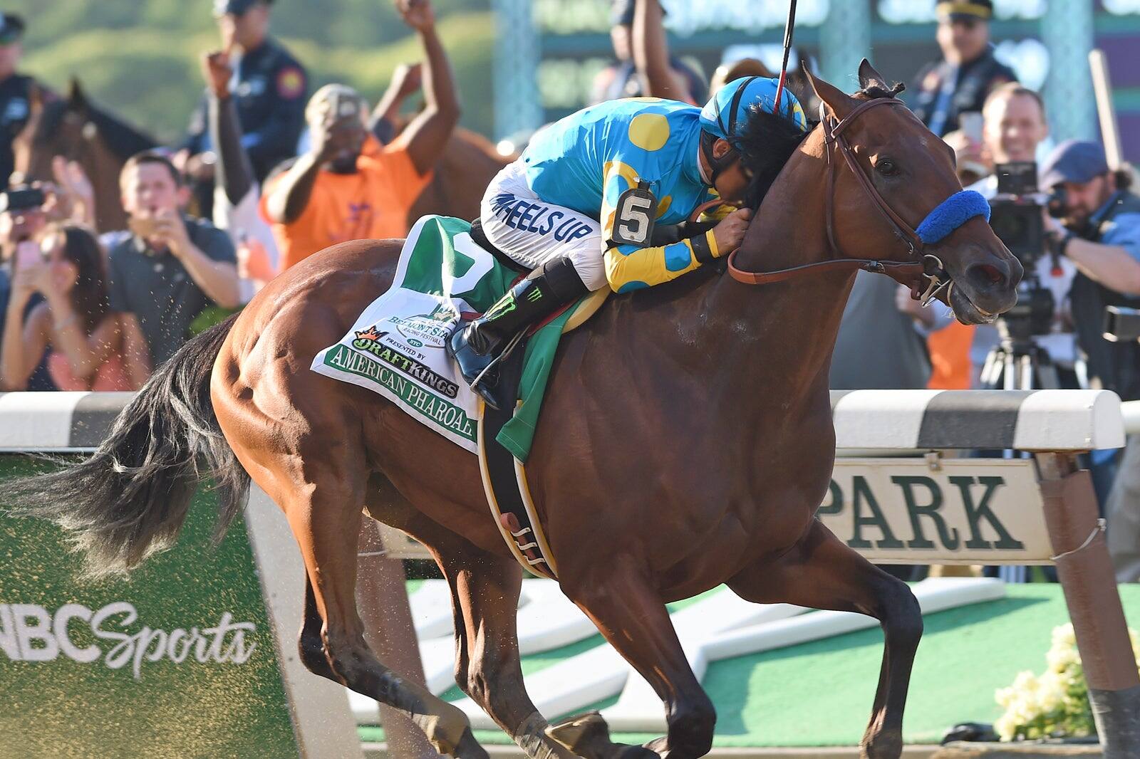 10 Best USA Sport Events for Die-Hard Fans - USA’s Best of the Best ...