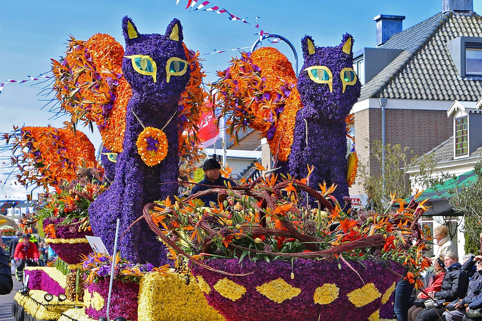 12 Best Festivals in the Netherlands - Unique Dutch Celebrations You