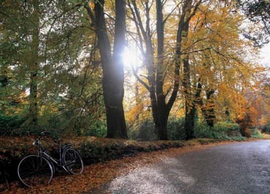 Portumna, Ireland