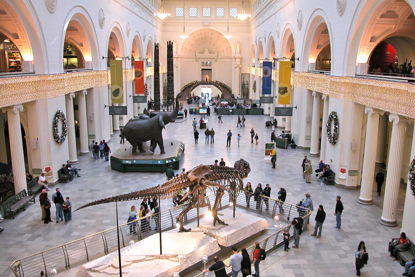 field museum behind the scenes tour