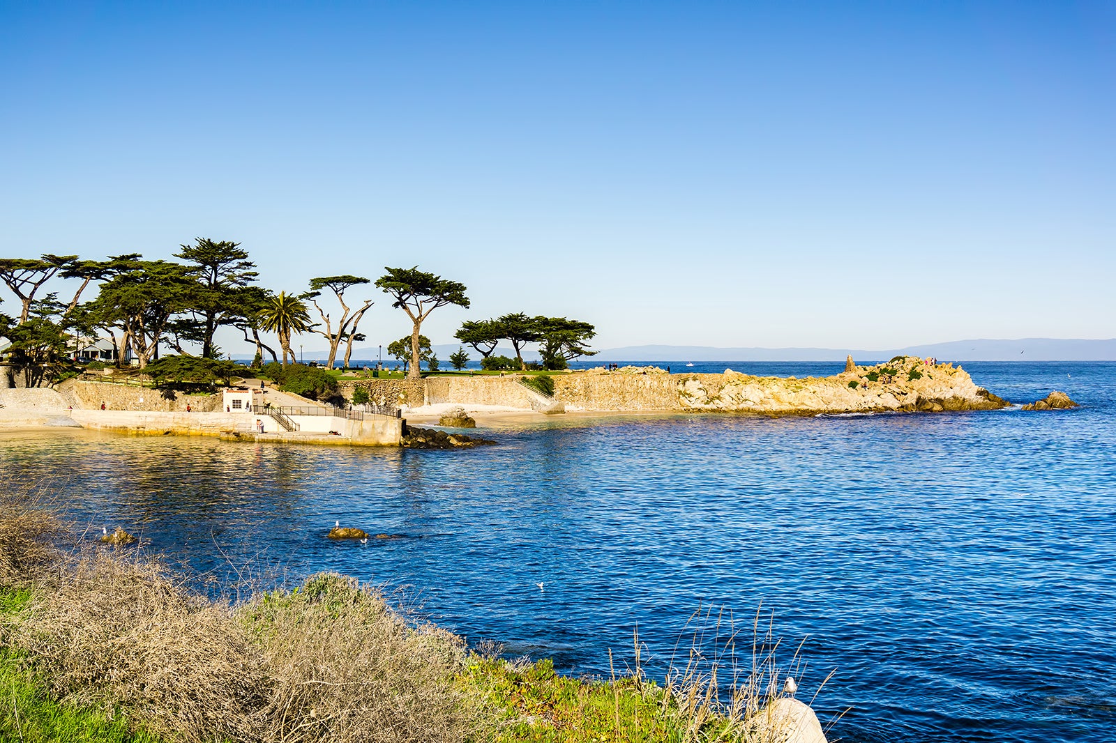 10 Best Beaches in Monterey - Which Monterey Beach is Right For You ...