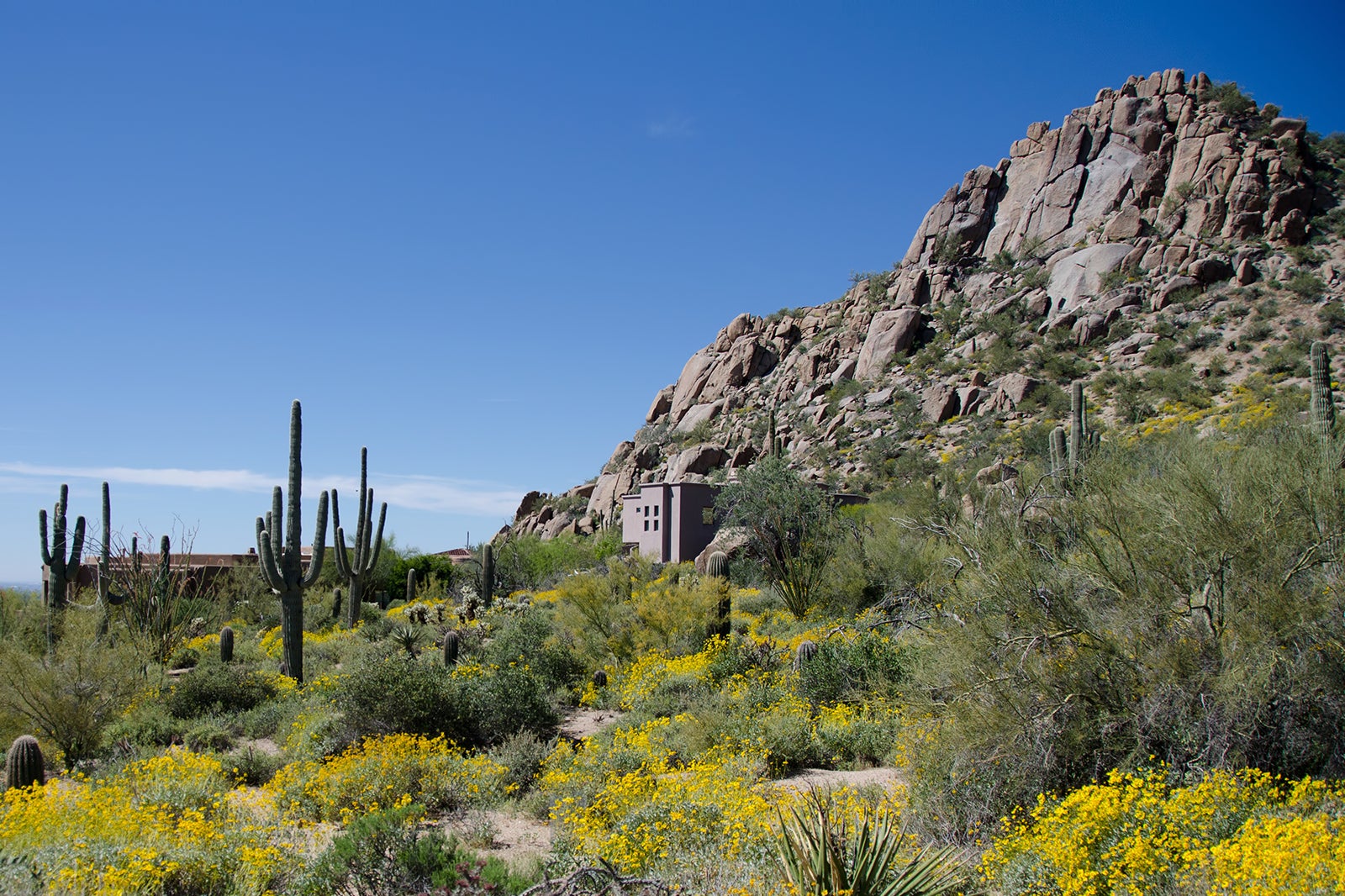 Things to Do in Scottsdale: activities, attractions, nature parks