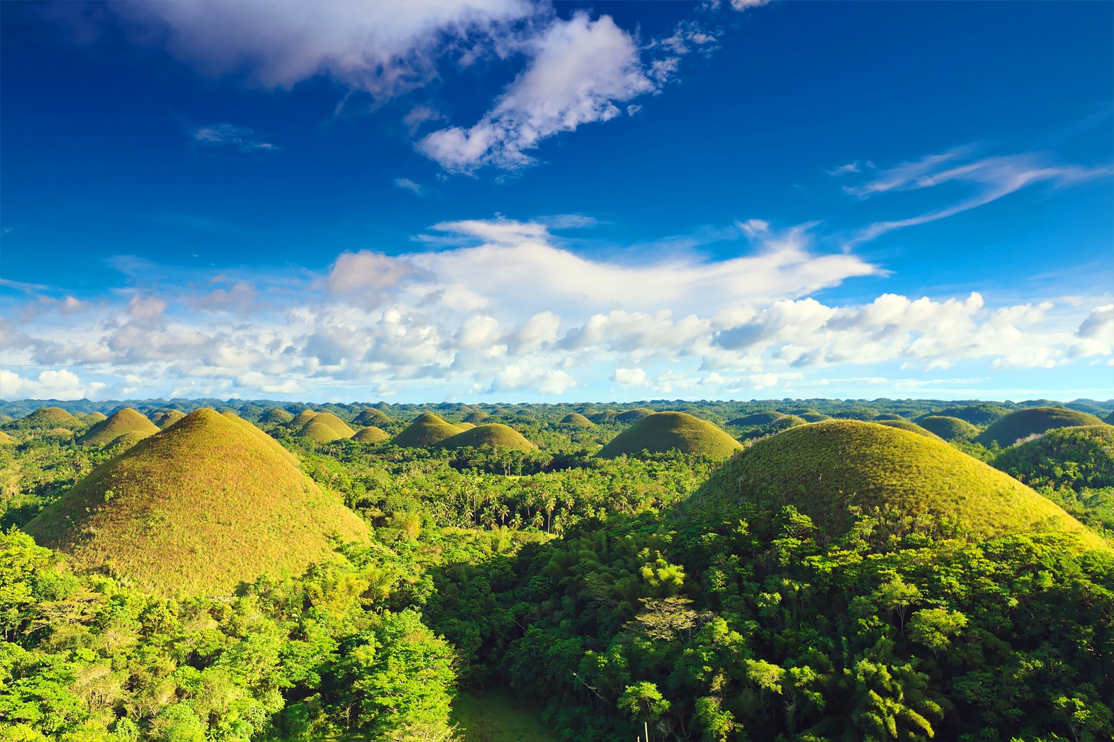 Bohol - What you need to know before you go - Go Guides