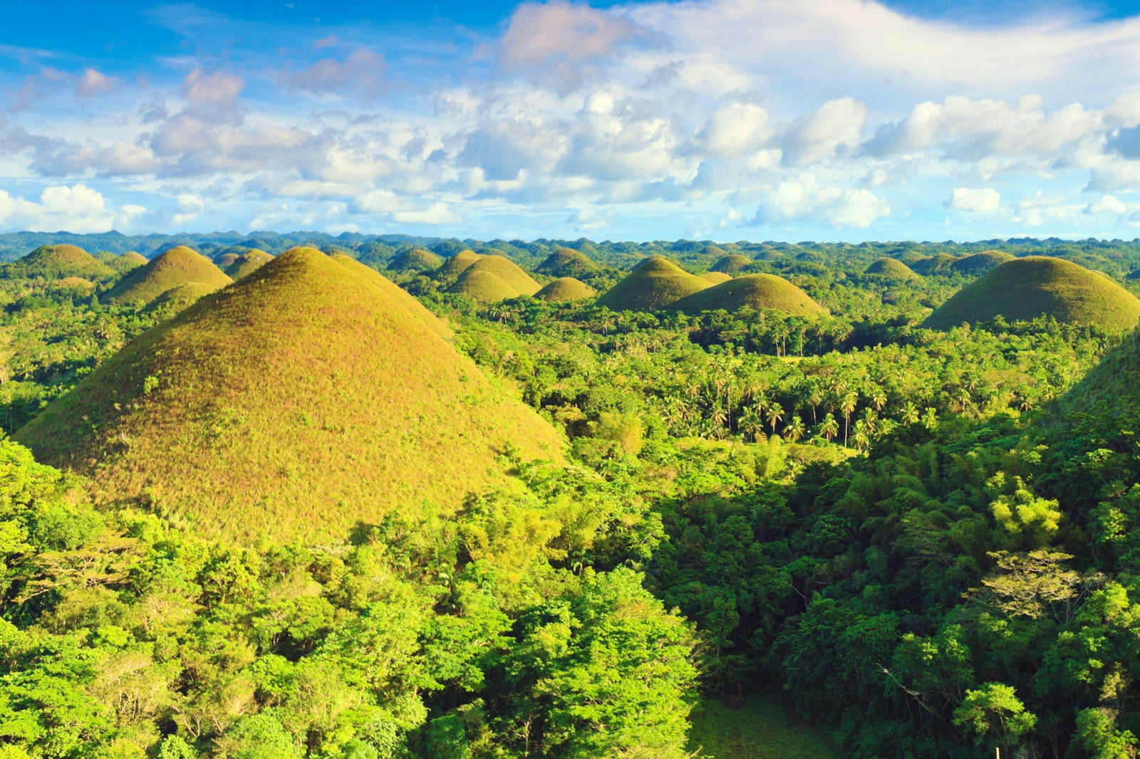 The Chocolate Hills Bohol Island Attractions Go Guides