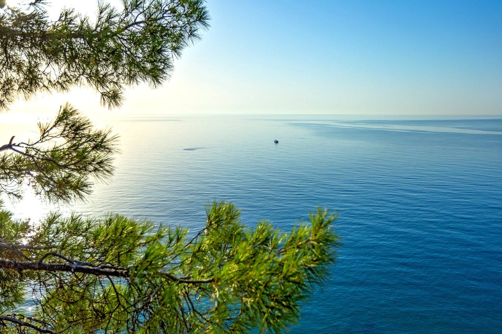 9 Best Things to Do in Seaside - See Museums and Aquariums, Hiking ...