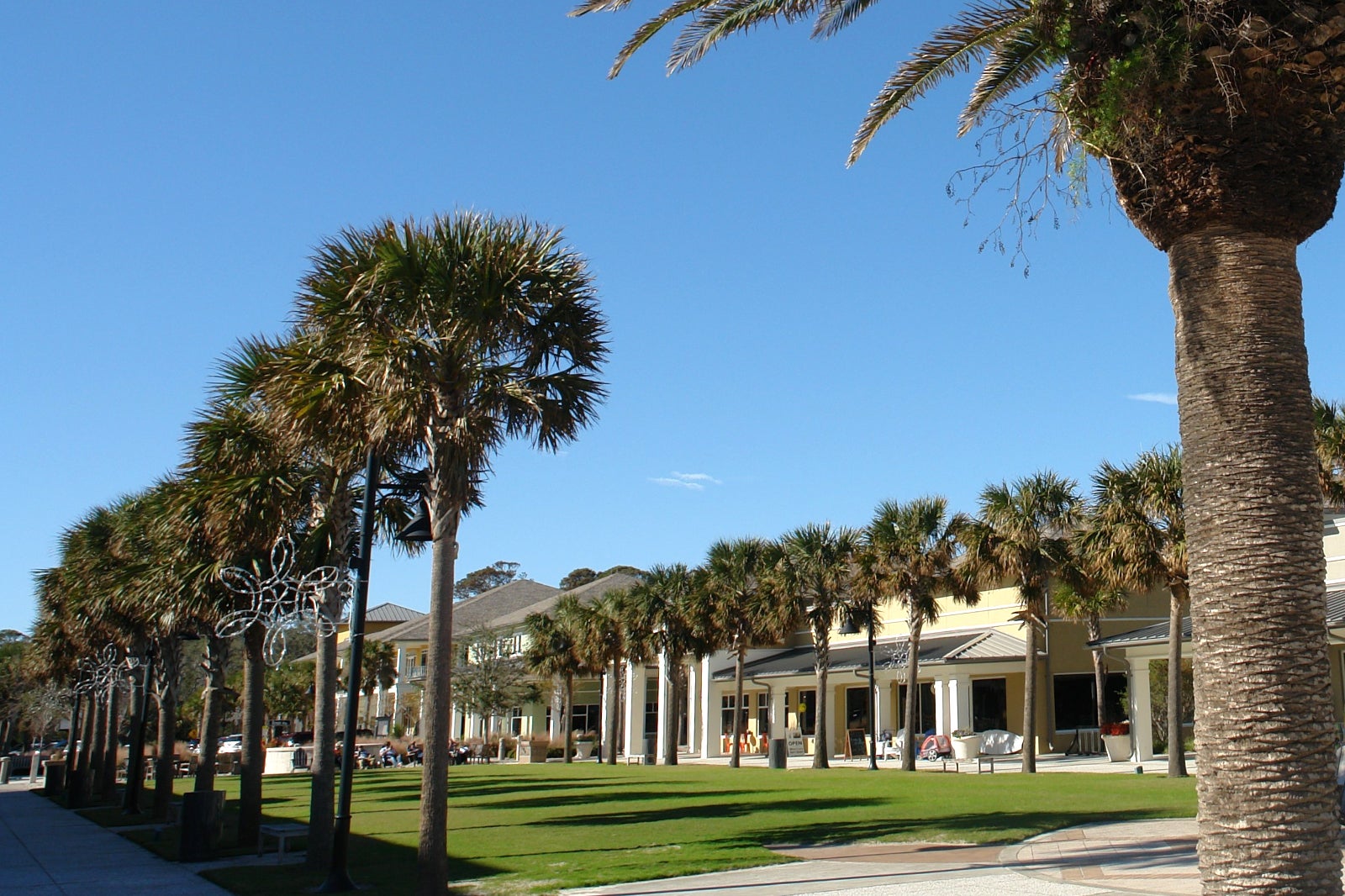 10 Best Things to Do on Jekyll Island - What is Jekyll Island Most ...