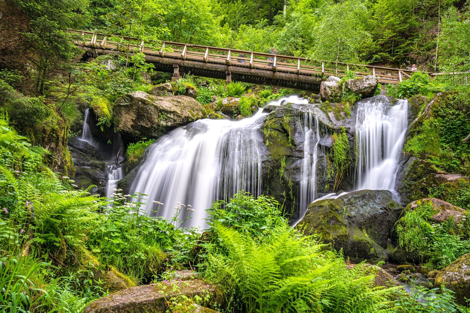 Selva Negra Alemania Que Ver Qu Visitar En La Selva Negra Alemania Selva Negra Alemania Que Ver Qu Visitar En La Selva Negra Alemania