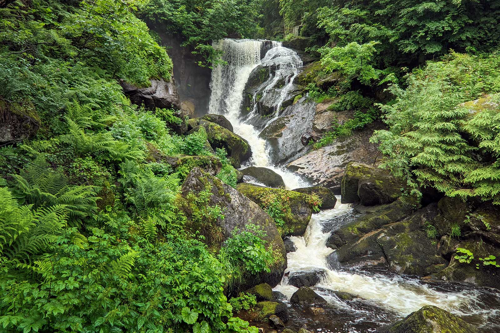 10 Best Waterfalls in the Black Forest - What are the Most Beautiful ...