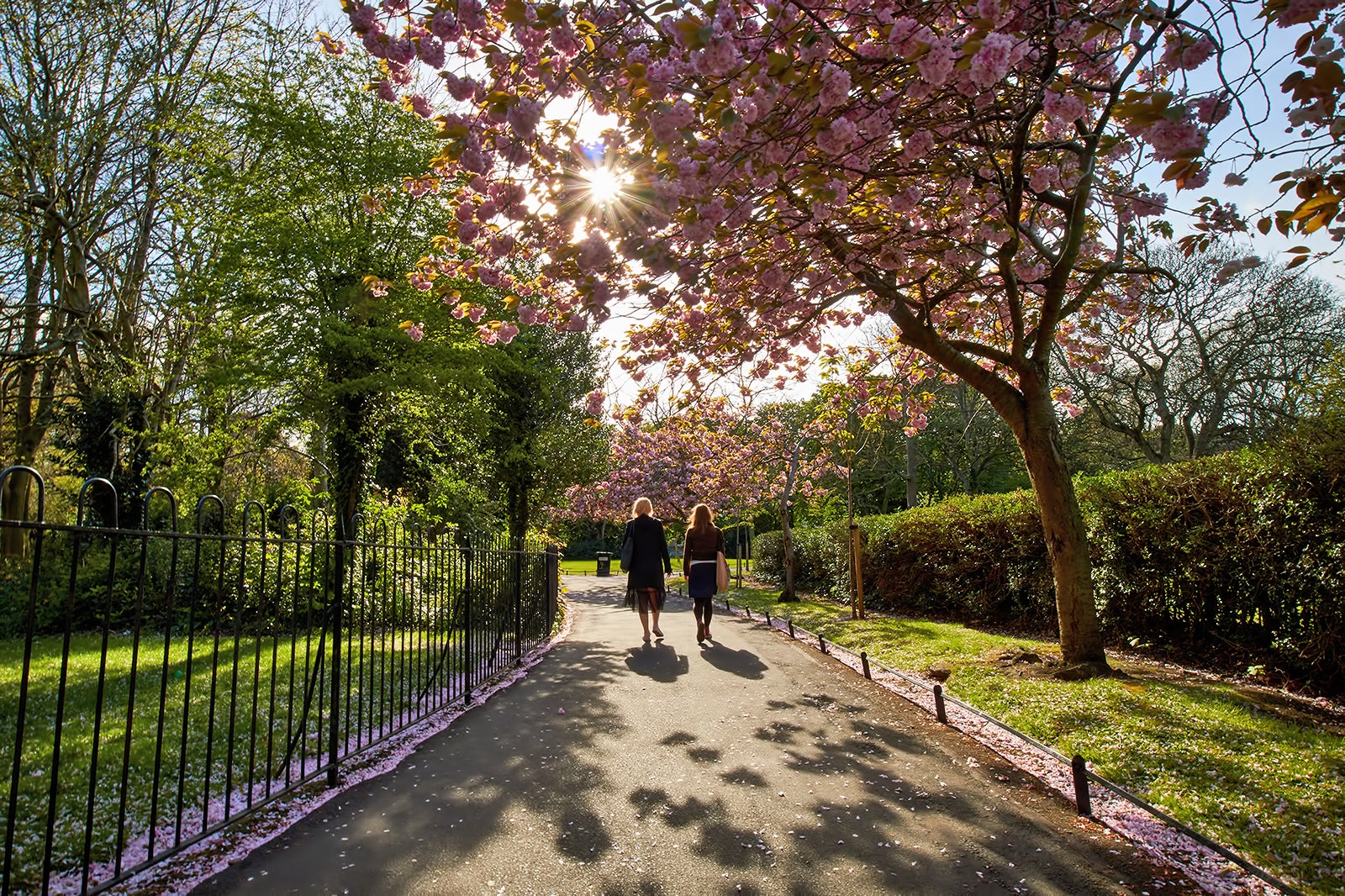 9 Best Things to Do for Couples in Dublin What to Do on a Romantic
